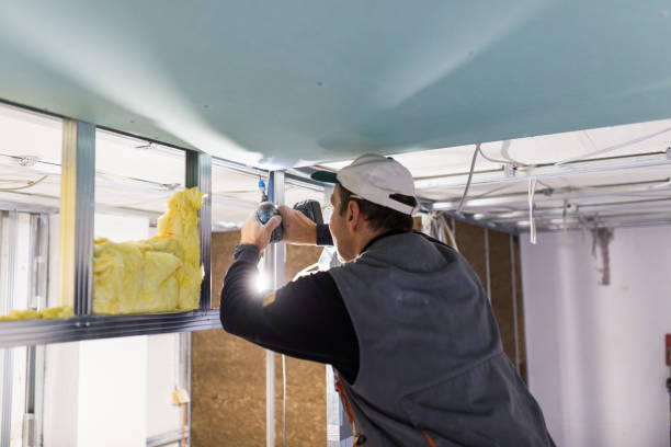 Types of Insulation We Offer in Colma, CA